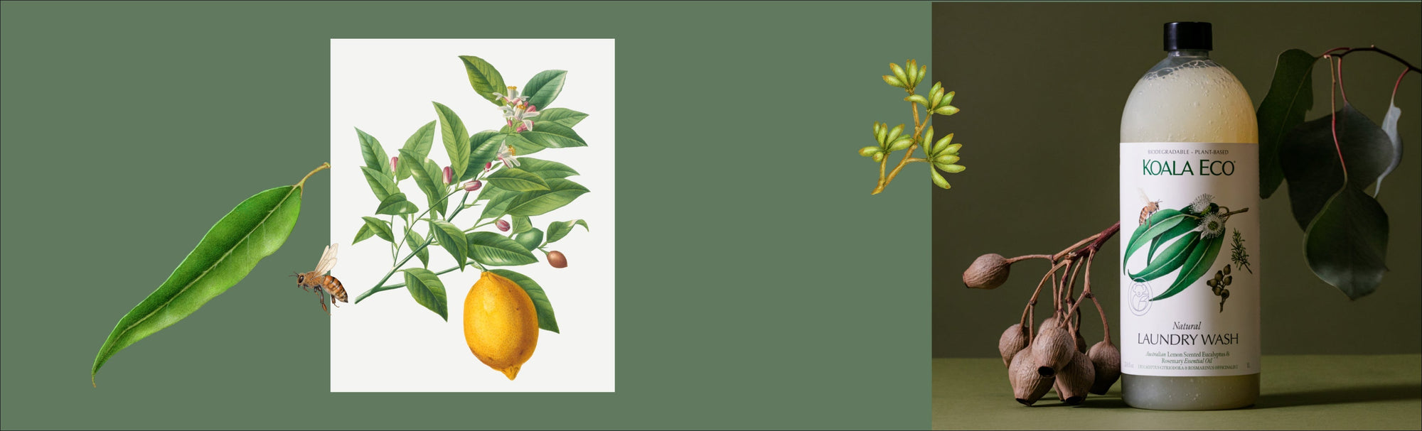 The Sunday Reset with Lemon Scented Eucalyptus