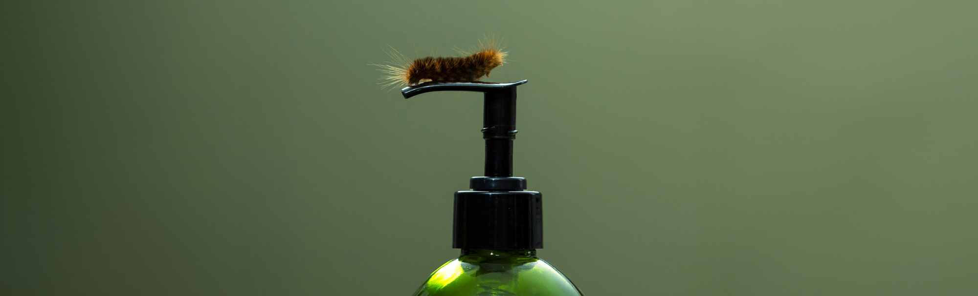 Koala Eco | Nine Years, Grown Together