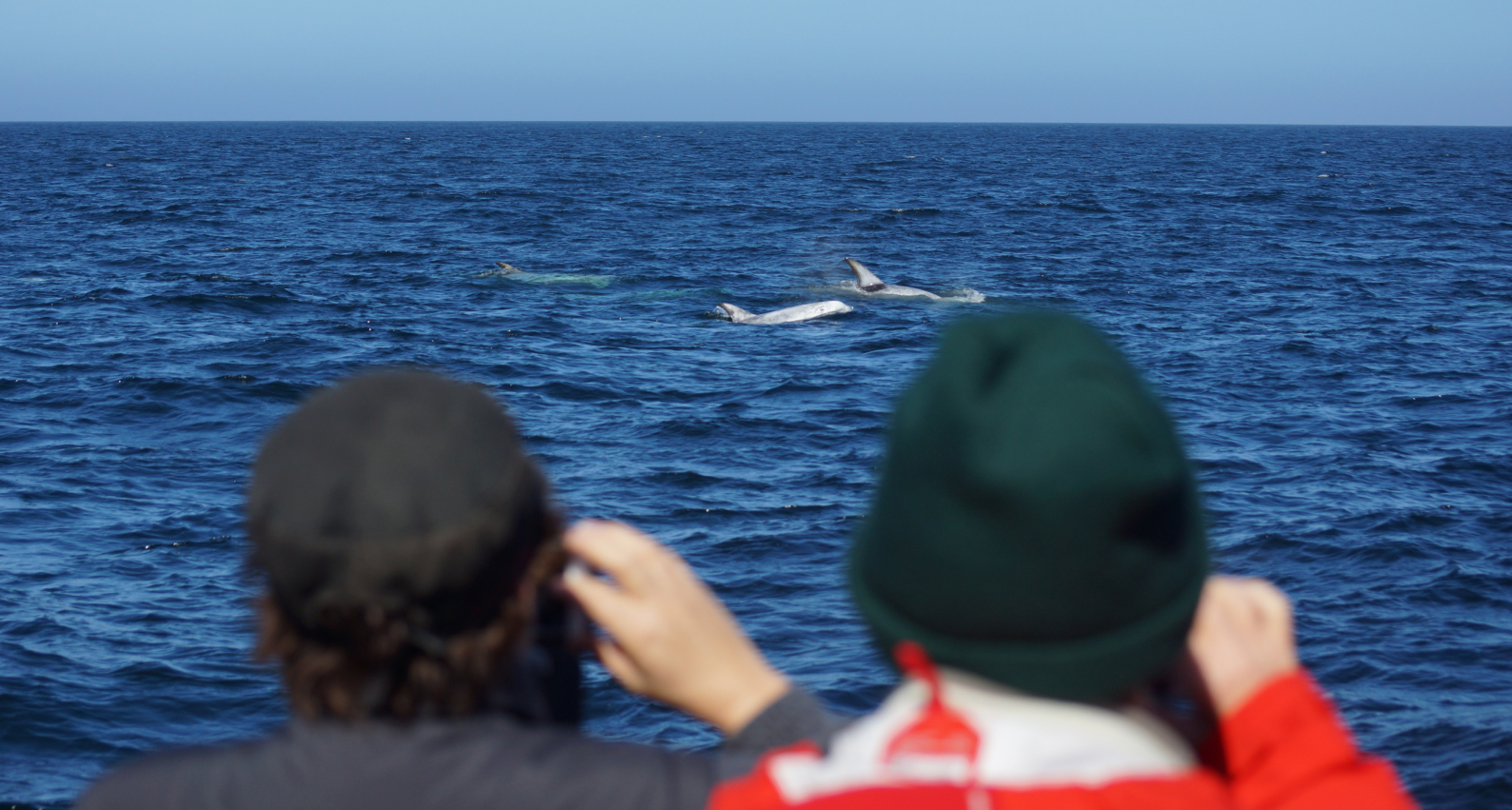 How our latest sponsorship is helping young people get up close and personal with marine wildlife