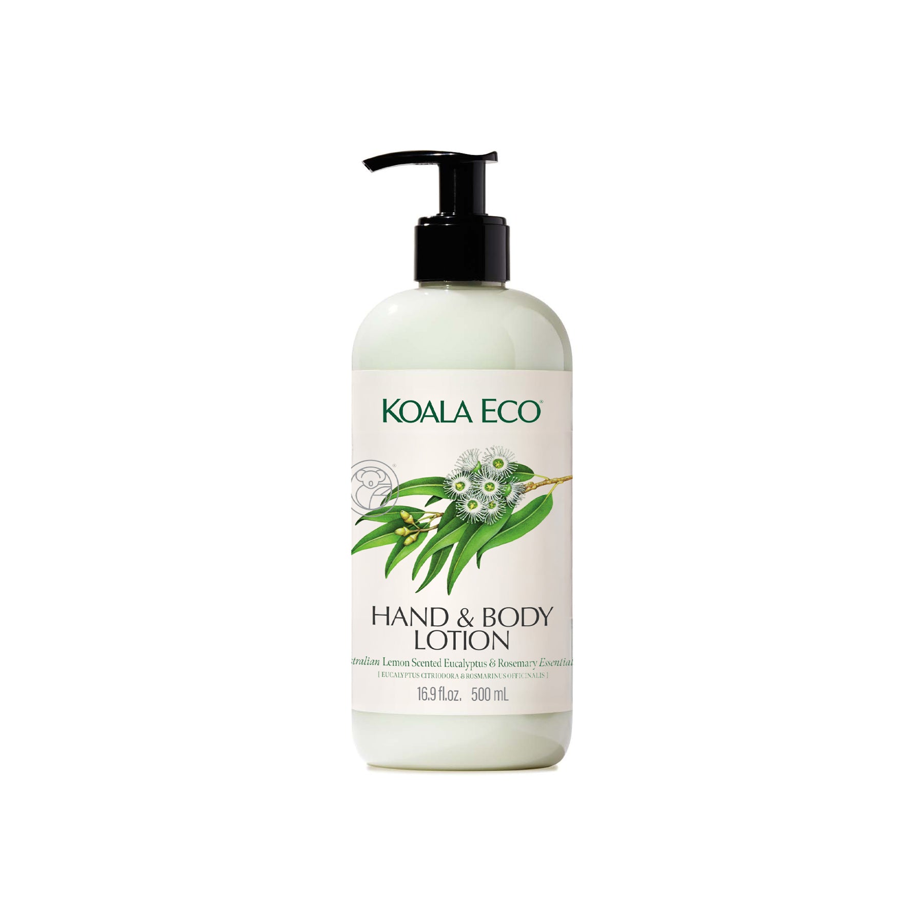 Hand & Body Lotion