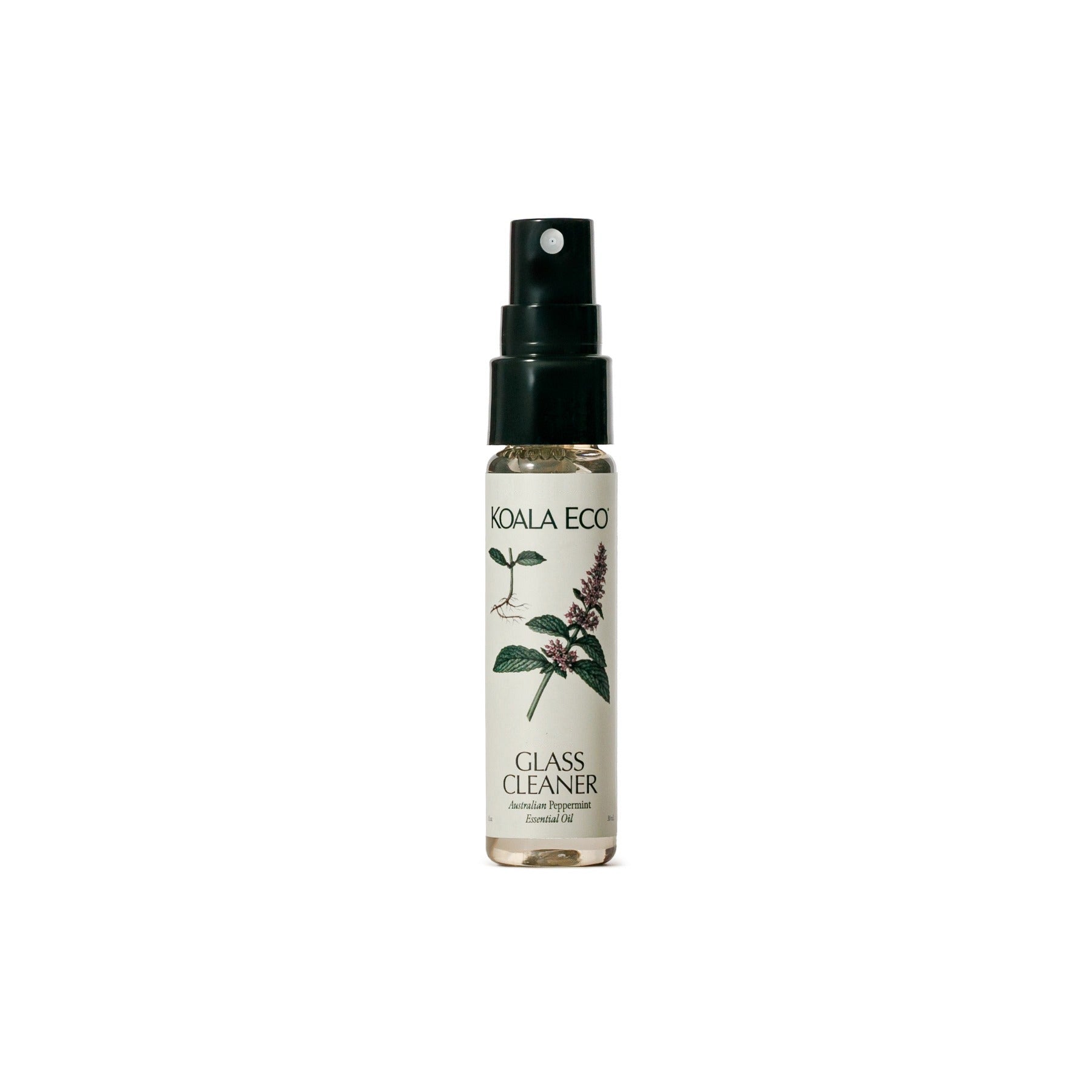 Free Glass Cleaner Sample - 1oz