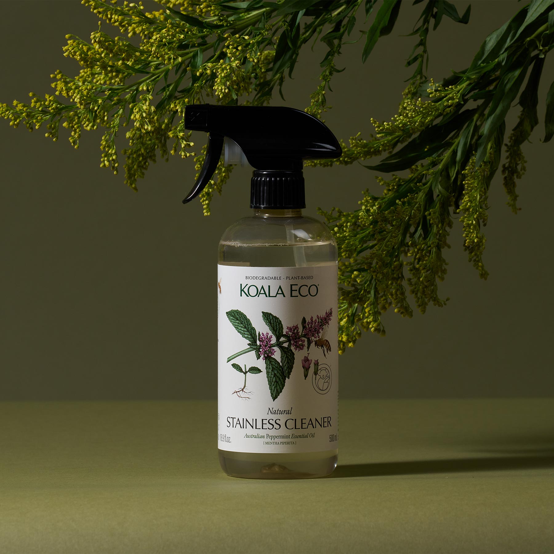 Natural Stainless Cleaner